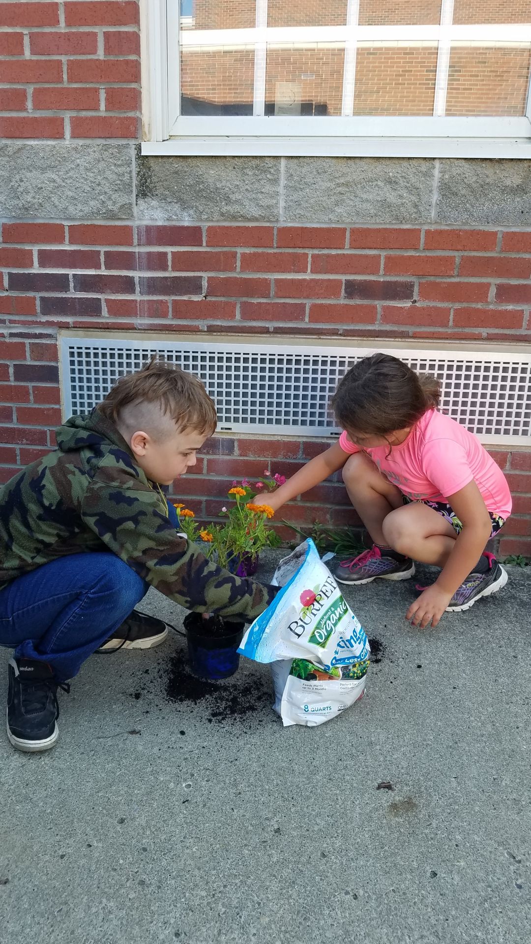 Planting flowers